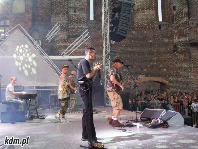 12205729.jpg